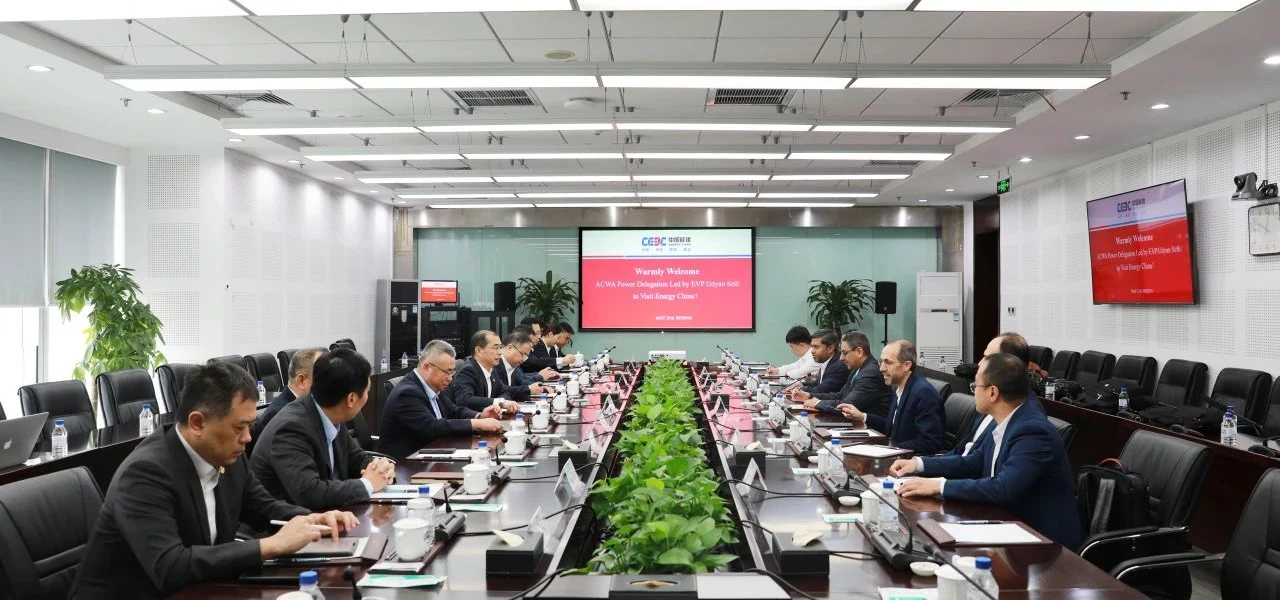 Qiao Xubin Meets with Udyan Seth, Senior Vice President for Business Development in the Middle East and Global Head of Water, ACWA Power