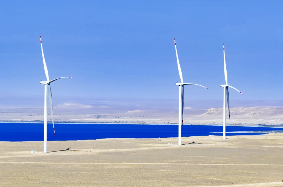 CEEC-built Largest Single Wind Power Project in Central Asia Completes Overall Handover