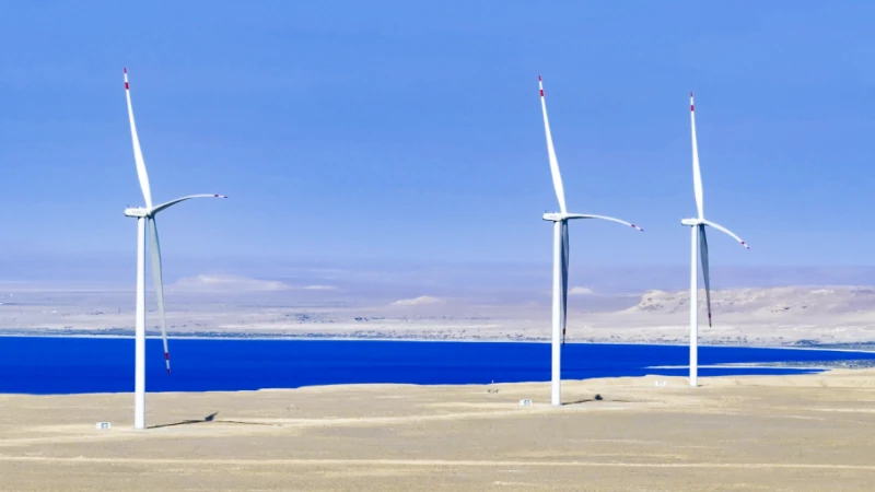 CEEC-built Largest Single Wind Power Project in Central Asia Completes Overall Handover