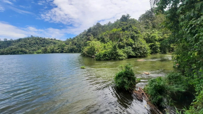 CEEC Wins Bid for Poiga 2 Hydropower Station in Indonesia